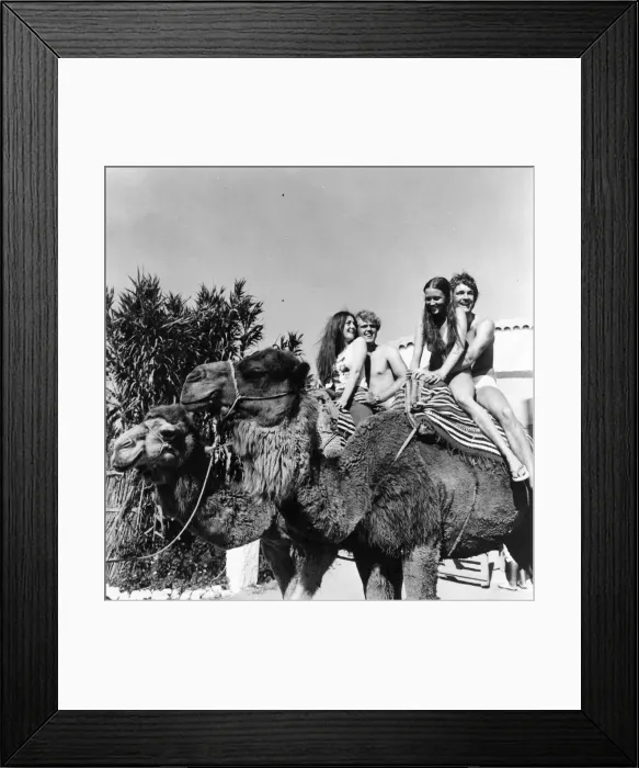 Framed Print : These young couple are enjoying a camel trek at Camp Africa Framed Print : These young couple are enjoying a camel trek at Camp Africa
