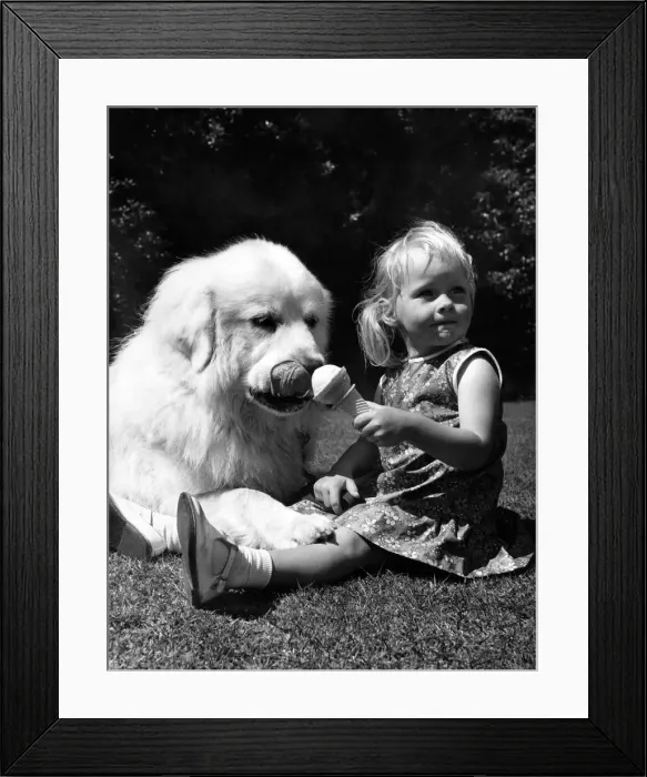 Framed Print : Kop the cool one snaffles little beathers ice cream at Duchesss party for dogs