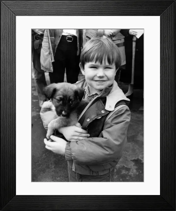 Framed Print : Happy... Ben with his new pup Bill. December 1986 P006093