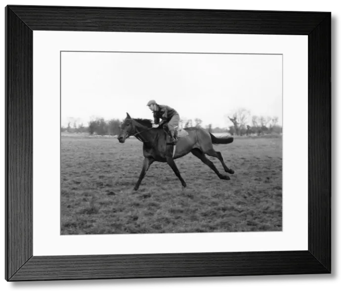 Framed Print : Tom Dreaper on Arkle. November 1965