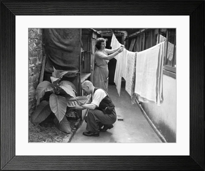 Framed Print : Mr Dick Delamere of London, who lived in St Helier on the Channel Island of Jersey during Framed Print : Mr Dick Delamere of London, who lived in St Helier on the Channel Island of Jersey during