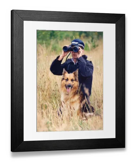 Framed Print : Shep the police dog enjoying the dog handling training school at Northumbria Police