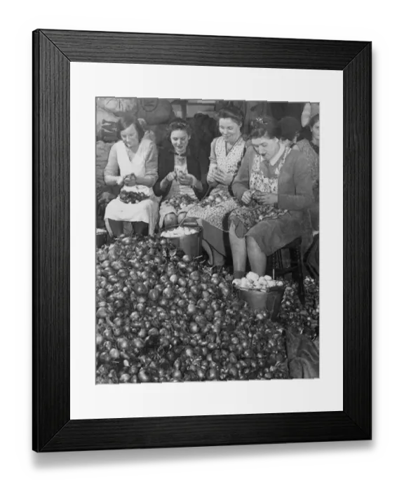 Framed Print : Women workers peeling thousands of onions that will eventually be pickled in jars