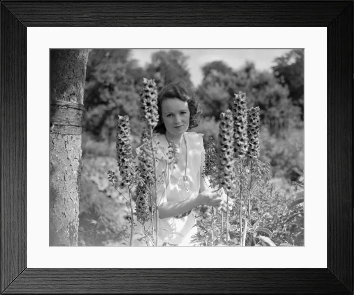 Framed Print : Actress Elsa MacFarlane pictured among the Delphiniums in Sir Francis Trowle Framed Print : Actress Elsa MacFarlane pictured among the Delphiniums in Sir Francis Trowle