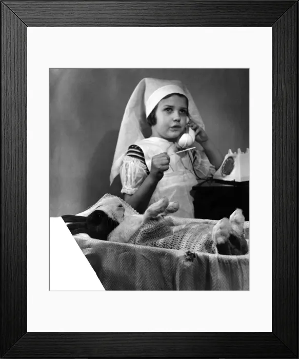 Framed Print : Children with animals: Blue Dutch rabbit. March 1952 P023310