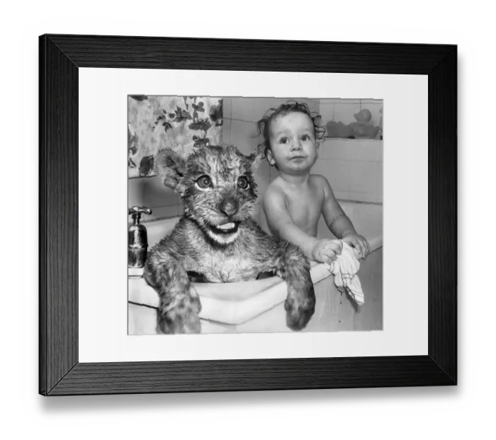 Framed Print : Animals: Dogs: When it comes to bath time for little 1 Framed Print : Animals: Dogs: When it comes to bath time for little 1