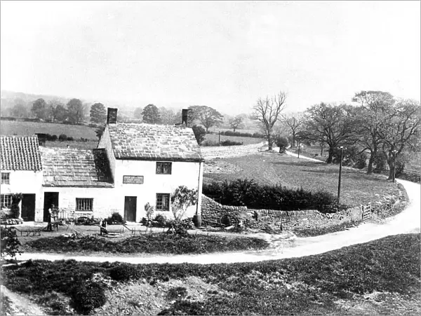 An idyllic countryside scene at Bridge End Cottages near Hexham