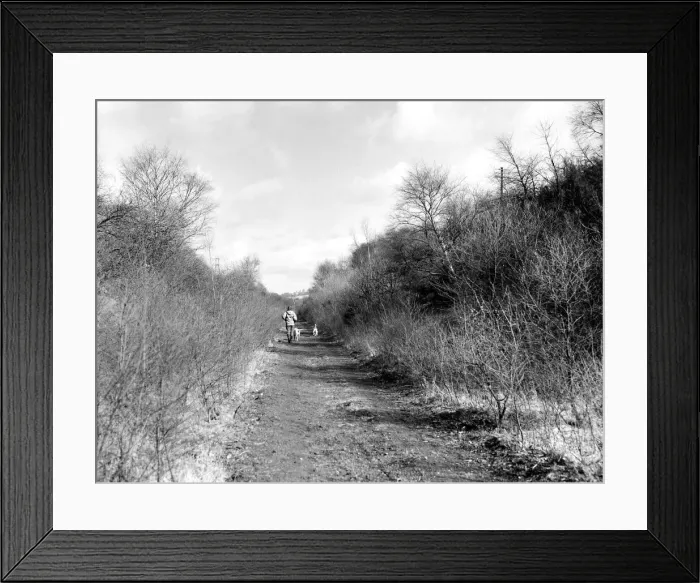 Framed Print : Part of the Derwent Walk stretching along the old railway line from Consett to Swalwell