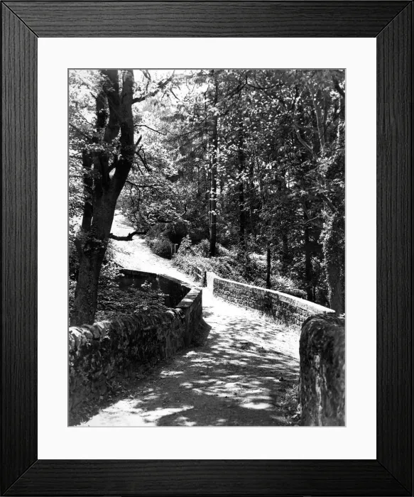 Framed Print : The sun shining through the trees gives an added appeal to this path from Acomb to St Framed Print : The sun shining through the trees gives an added appeal to this path from Acomb to St