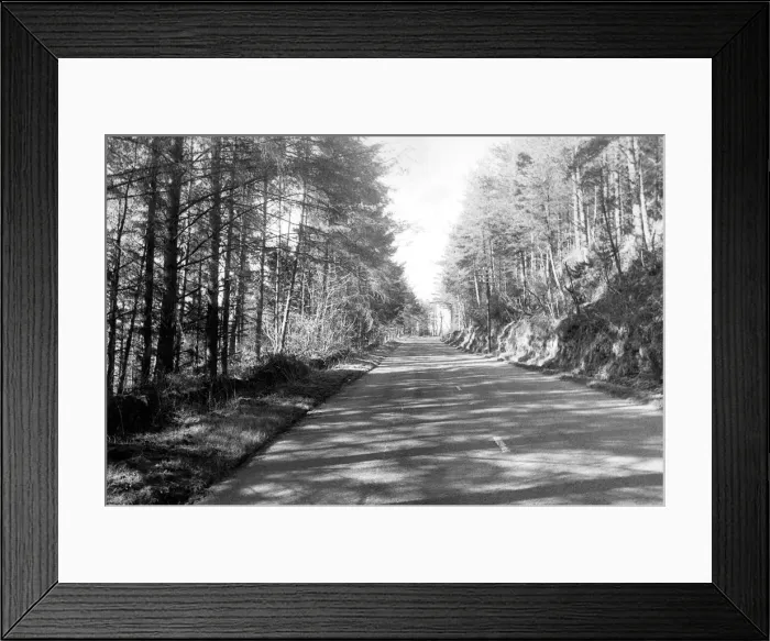 Framed Print : A typical British empty country lane Framed Print : A typical British empty country lane