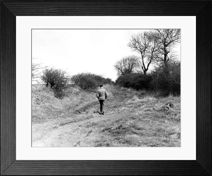 Framed Print : The tractors have ploughed up Lovers Lane, or Green Lane Framed Print : The tractors have ploughed up Lovers Lane, or Green Lane