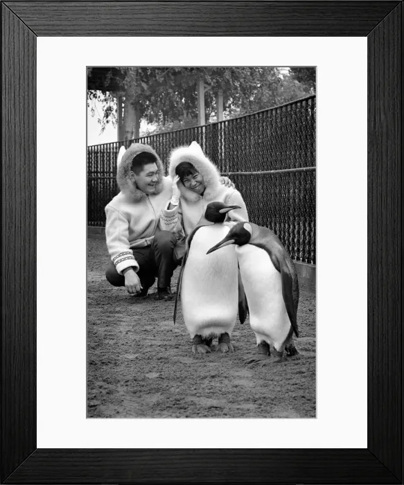 Framed Print : John and Kitty Williams the eskimos went to Regents Park Zoo this morning