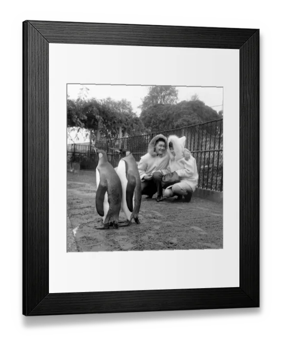 Framed Print : John and Kitty Williams the eskimos went to Regents Park Zoo this morning