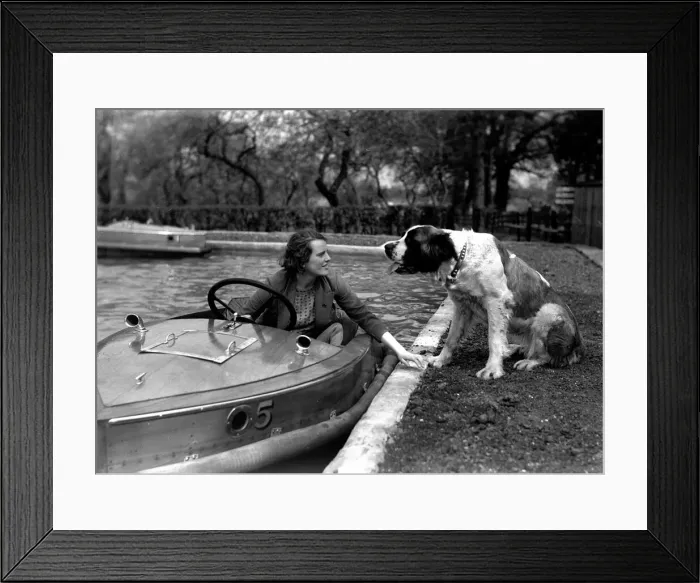 Framed Print : Alfieri. St. Bernard with girl and motor boat. 16th April 1933