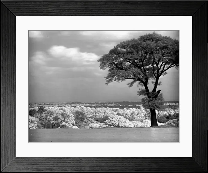 Framed Print : The view of Teddington from Surbiton Golf Club October 1933 356 Framed Print : The view of Teddington from Surbiton Golf Club October 1933 356