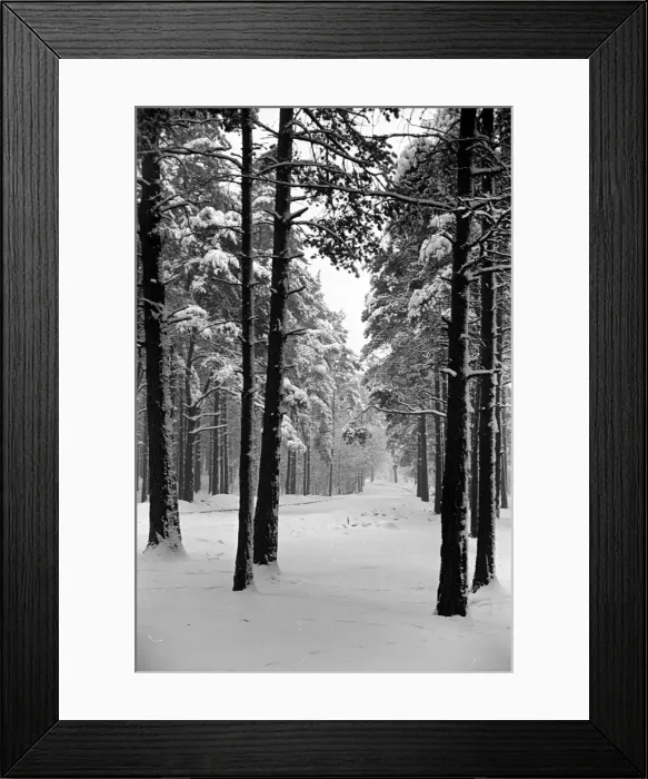 Framed Print : Snow Scenes at Oxshott during the winter of 1940 L104 Framed Print : Snow Scenes at Oxshott during the winter of 1940 L104