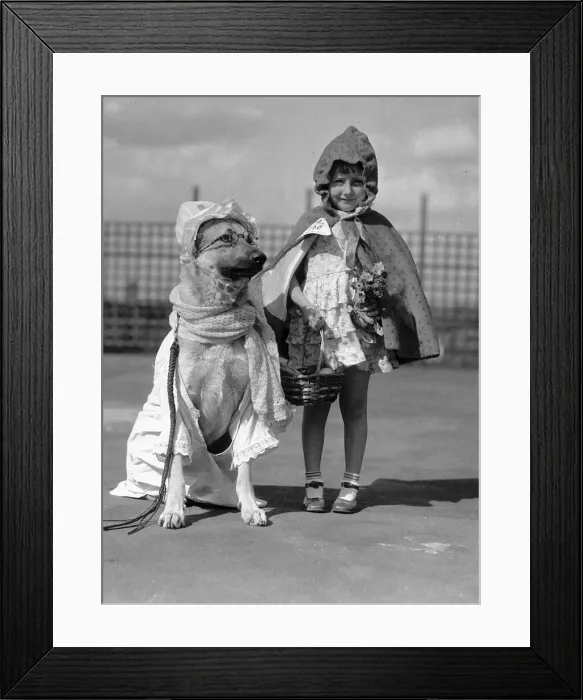 Framed Print : Girl and Dog dressed up as little red riding hood and wolf. 15th June 1935