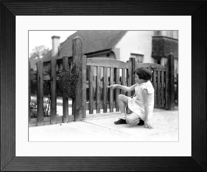 Framed Print : Alfieri Jnr. 30, 000 bees on a gatepost. 9th June 1934