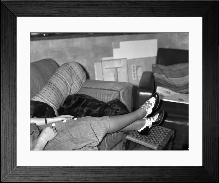 Framed Print : Jumbo rests his head on his mistresses legs. Circa 1936