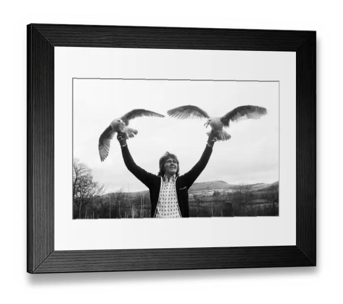 Framed Print : Billy Fury Feb 1977 ex pop star on the farm with two gulls Framed Print : Billy Fury Feb 1977 ex pop star on the farm with two gulls