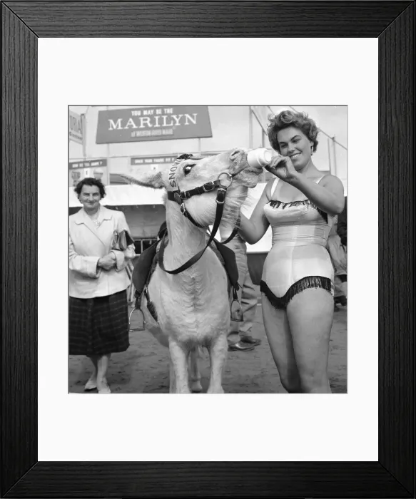 Framed Print : Sunday pictorial beach contest at Weston Super Mare. Winner Pam Baker gives a cup
