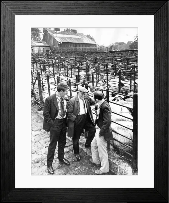 Framed Print : Electioneering at grassroots level has changed little over the years