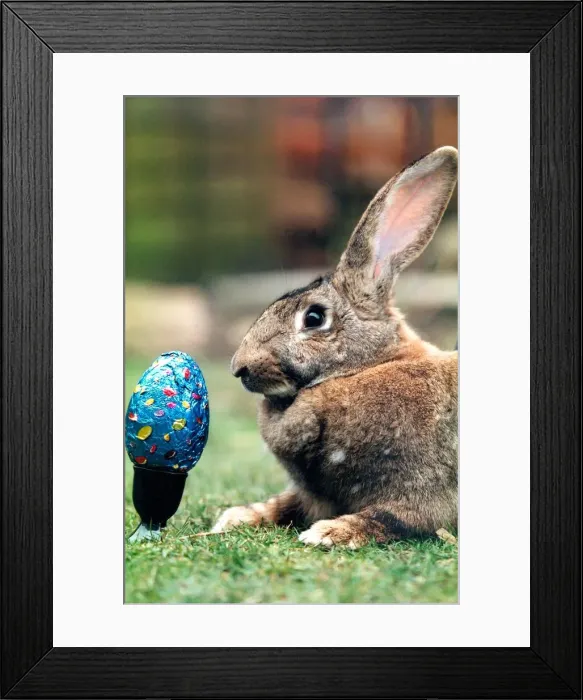 Framed Print : A rabbit keeping an eye on his Easter egg