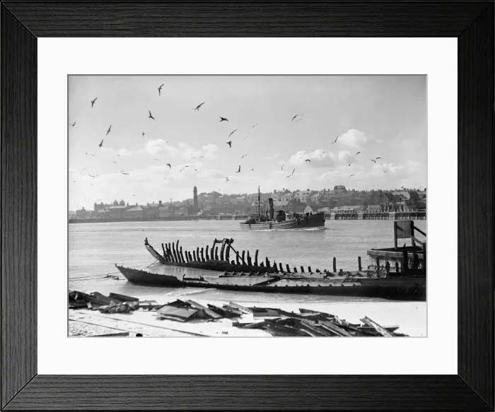 Framed Print : A Fraserburgh Herring boat returns to port escorted by a squadron of sea gulls