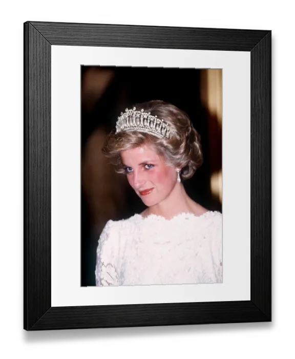 Framed Print : The Prince and Princess of Wales visit to the United States, 1985