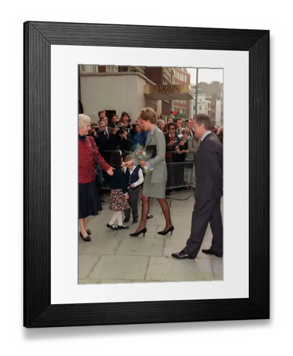 Framed Print : Princess of Wales, who has been appointed vice-President of the British Red Cross Framed Print : Princess of Wales, who has been appointed vice-President of the British Red Cross