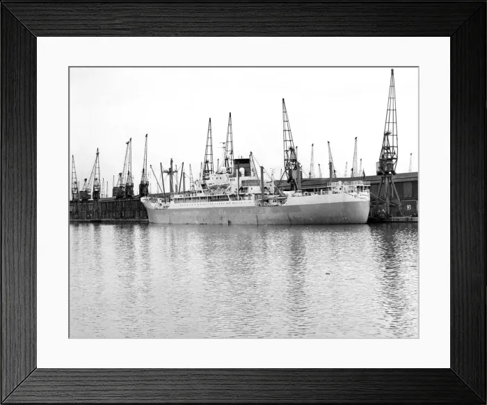 Framed Print : The idle cranes at eh King George V Dock in London, the first day of the National Dock Framed Print : The idle cranes at eh King George V Dock in London, the first day of the National Dock