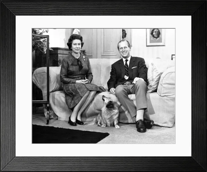 Framed Print : Queen Elizabeth II, Princess Elizabeth with Prince Philip and one of the family corgi Framed Print : Queen Elizabeth II, Princess Elizabeth with Prince Philip and one of the family corgi
