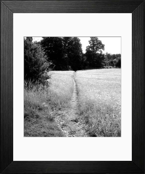 Framed Print : Bernard Alfieri Jnr. Corn field in Bookham, Leatherhead, UK. 20th July 1934 Framed Print : Bernard Alfieri Jnr. Corn field in Bookham, Leatherhead, UK. 20th July 1934