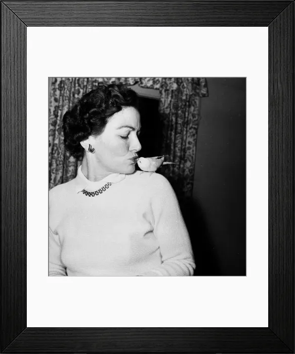 Framed Print : Bernard Alfieri Jnr. Woman with Budgie eating from her lips. 20th July 1934 Framed Print : Bernard Alfieri Jnr. Woman with Budgie eating from her lips. 20th July 1934