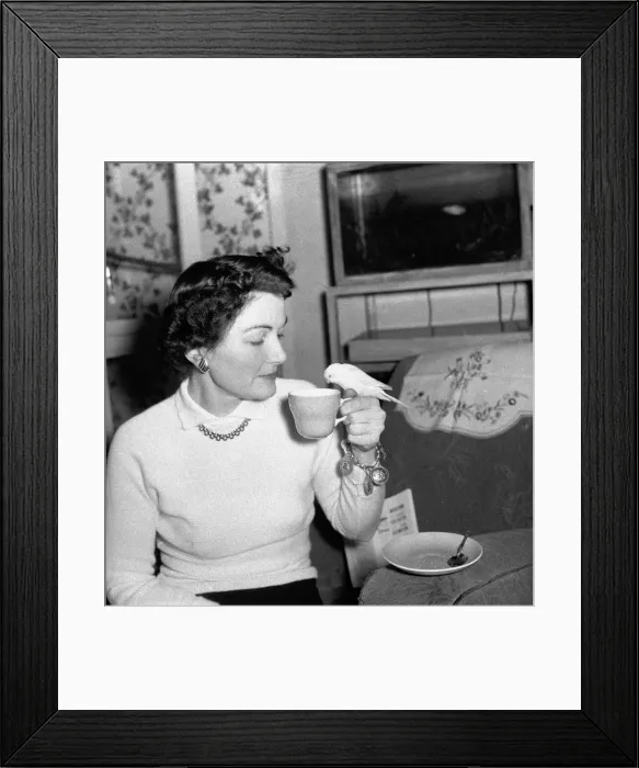 Framed Print : Bernard Alfieri Jnr. Woman and Budgie drinking from her tea cup. 20th July 1934 Framed Print : Bernard Alfieri Jnr. Woman and Budgie drinking from her tea cup. 20th July 1934