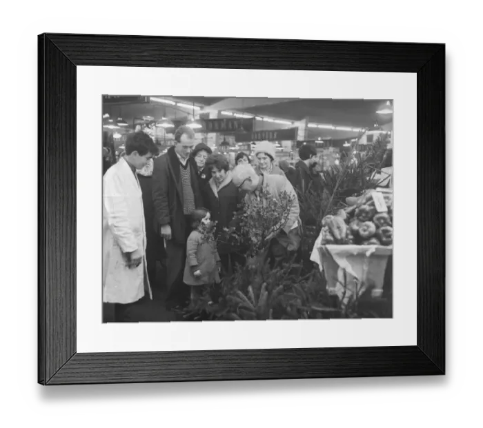 Framed Print : A young Christmas shopper admires a bunch of holly in Coventry retail market today