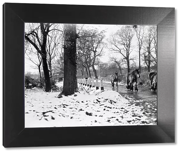 Farm horses pictured in the snow at Shenley, Hertfordshire, January 1935