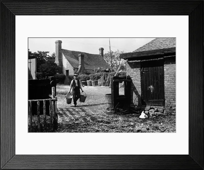 Framed Print : Farmer walks towards the hen house at Chapel Church Farm, Kent