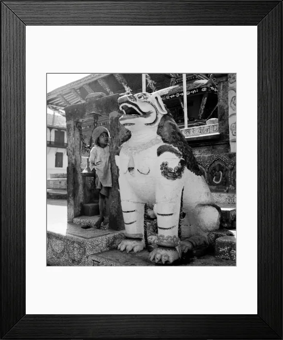 Framed Print : A young boy lookes weary at a statue of a dragon dog guarding one of the buddhist temple Framed Print : A young boy lookes weary at a statue of a dragon dog guarding one of the buddhist temple
