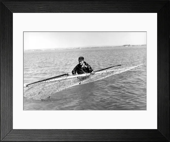 Framed Print : A lonely job - A Haaf-net'fisherman working on the English side of the Solway Framed Print : A lonely job - A Haaf-net'fisherman working on the English side of the Solway