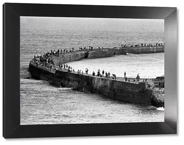 Scores of anglers fishing on the Pier in Seaham, Sunderland