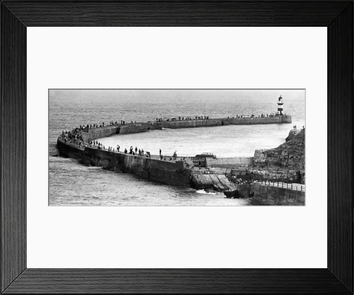 Framed Print : Scores of anglers fishing on the Pier in Seaham, Sunderland Framed Print : Scores of anglers fishing on the Pier in Seaham, Sunderland