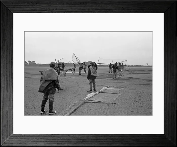 Framed Print : Fisherman from Annan seen here preparing to fish The Solway Firth for salmon Framed Print : Fisherman from Annan seen here preparing to fish The Solway Firth for salmon