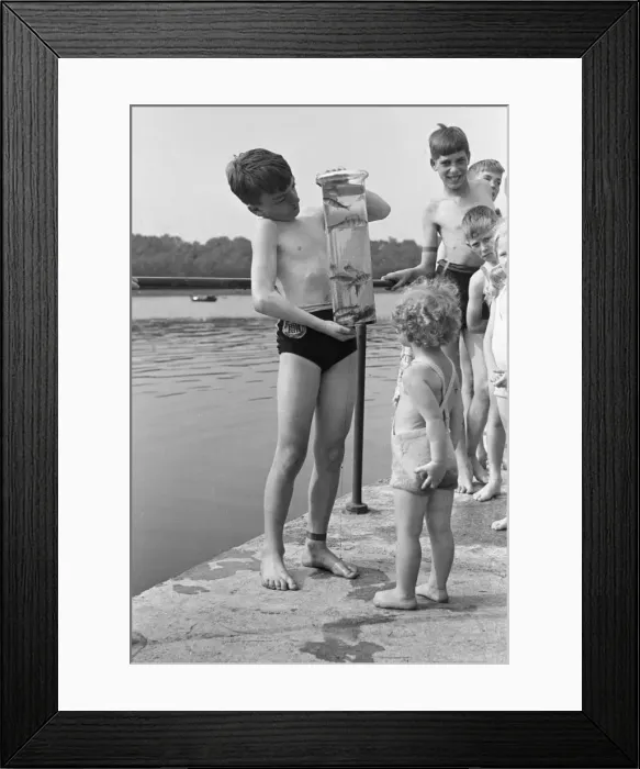Framed Print : Children seen here with their days catch in a jar on the banks of the River Lea Framed Print : Children seen here with their days catch in a jar on the banks of the River Lea