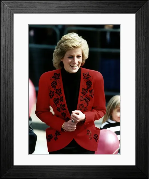 Framed Print : Diana, Princess of Wales attends the Launch of The Bike 89 Charity event in Hyde Park