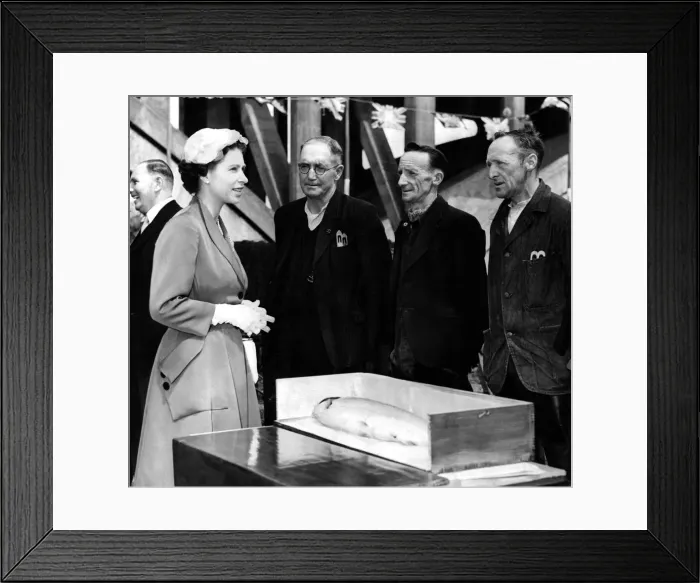 Framed Print : Queen Elizabeth II meeting three local men during a visit to the North East