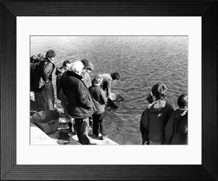 Framed Print : A crowd gathers on the banks of the River Wear at Chester le Street to watch members of