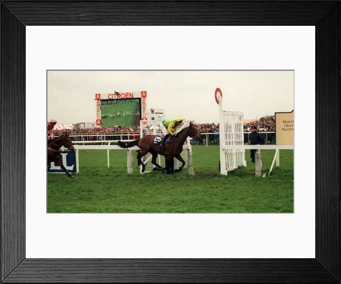 Framed Print : Horseracing Grand National Aintree April 1993 Horses Framed Print : Horseracing Grand National Aintree April 1993 Horses