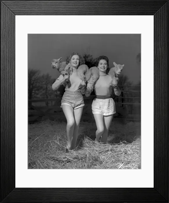 Framed Print : Shirley Lorimes snd Pauline Olsen seen here with spring lambs Framed Print : Shirley Lorimes snd Pauline Olsen seen here with spring lambs
