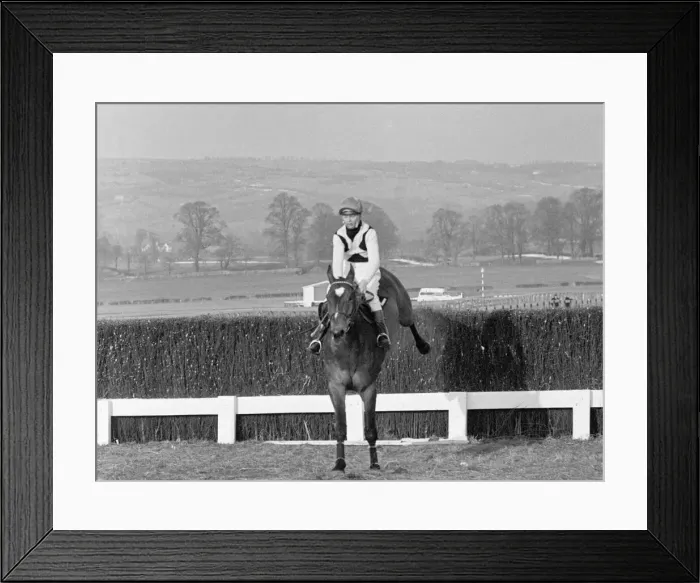 Framed Print : Cheltenham Gold Cup 1965. Mill House taking a fence before finishing second to Arkle